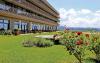 Roof garden with lawn, shrubs and rose bushes